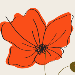 poppy logo for hafsa.dev